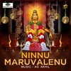 About Ninnu Maruvalenu Song